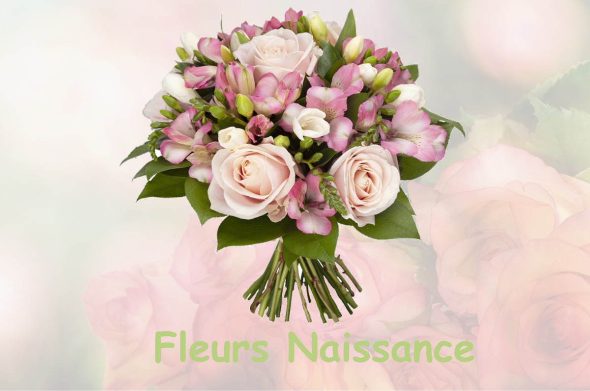 fleurs naissance SAINT-AMOUR-BELLEVUE