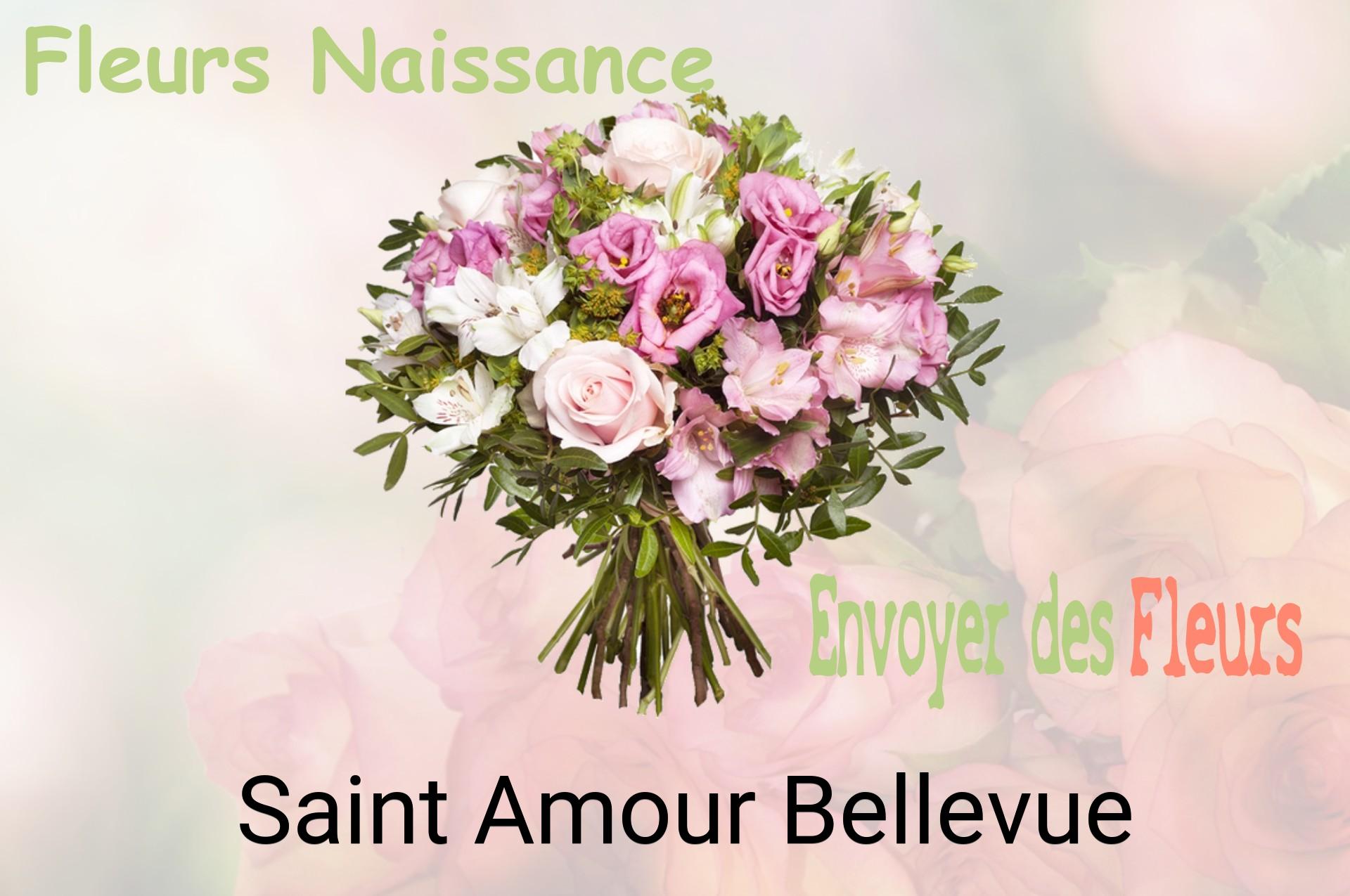 Bouquet de fleurs de naissance livré à Saint-Amour-Bellevue